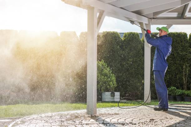 Best Boat and Dock Cleaning  in Forestville, MD