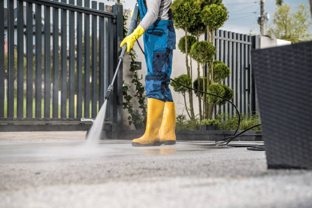 Trusted Forestville, MD  Pressure Washing Services Experts
